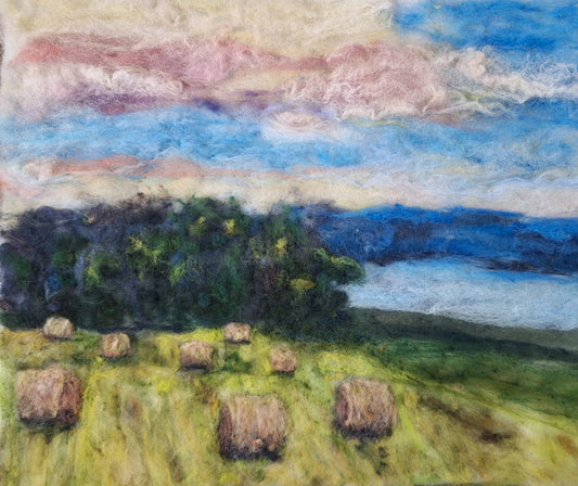 Summer hay bales on route 89, cayuga lake